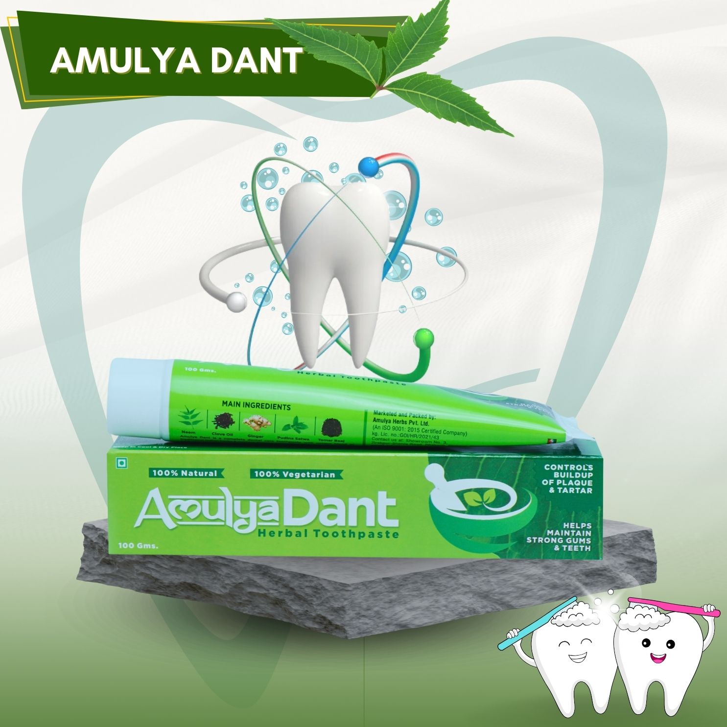 FC10001-AMULYA DANT