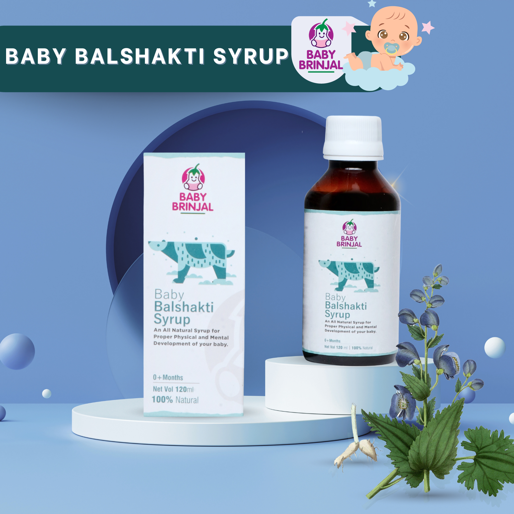 BB10006-BABY BALSHAKTI SYRUP
